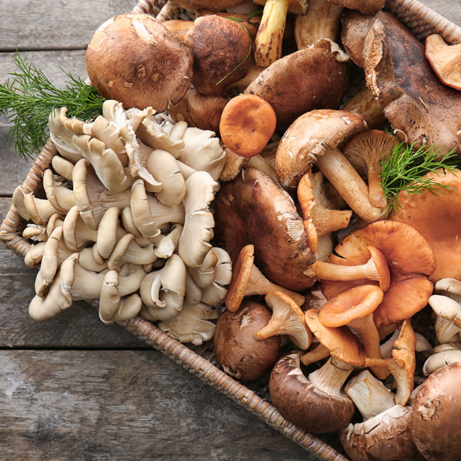 Mushrooms